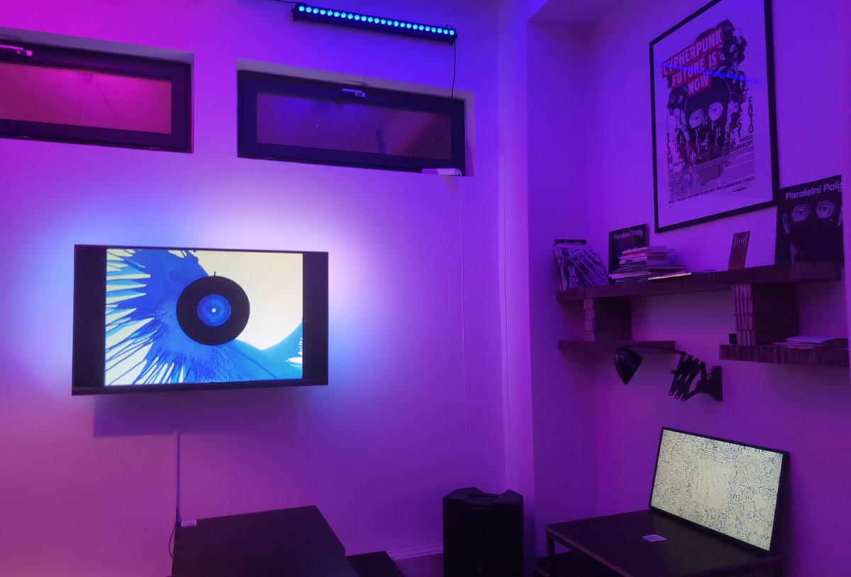 SCRYBZ Collective tweet media