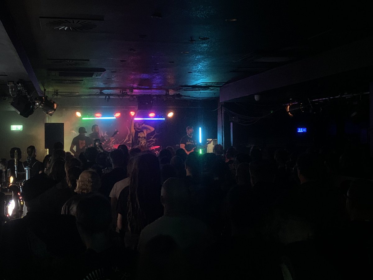 Watching <a href="/RaisedByOwlsUK/">Raised By Owls</a> do what they do best