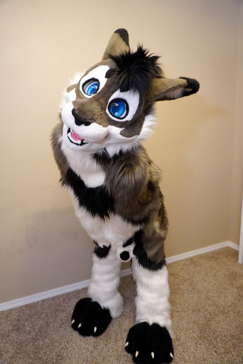 Gengi Cabbit tweet media