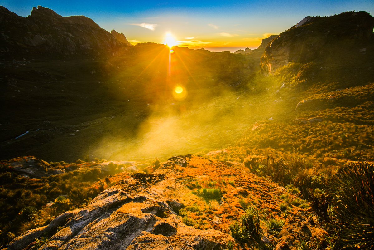 Ssenyonyiderick's tweet image. #HustleMonday

We agreed that mondays are Marketing our businesses and pushing our brands📈

Drop your hustle in the comment section, Open the comments if you need a plug of anything.

This is me, full-time travel content creator📸

Let's go win🌄

#TimeLessFrames