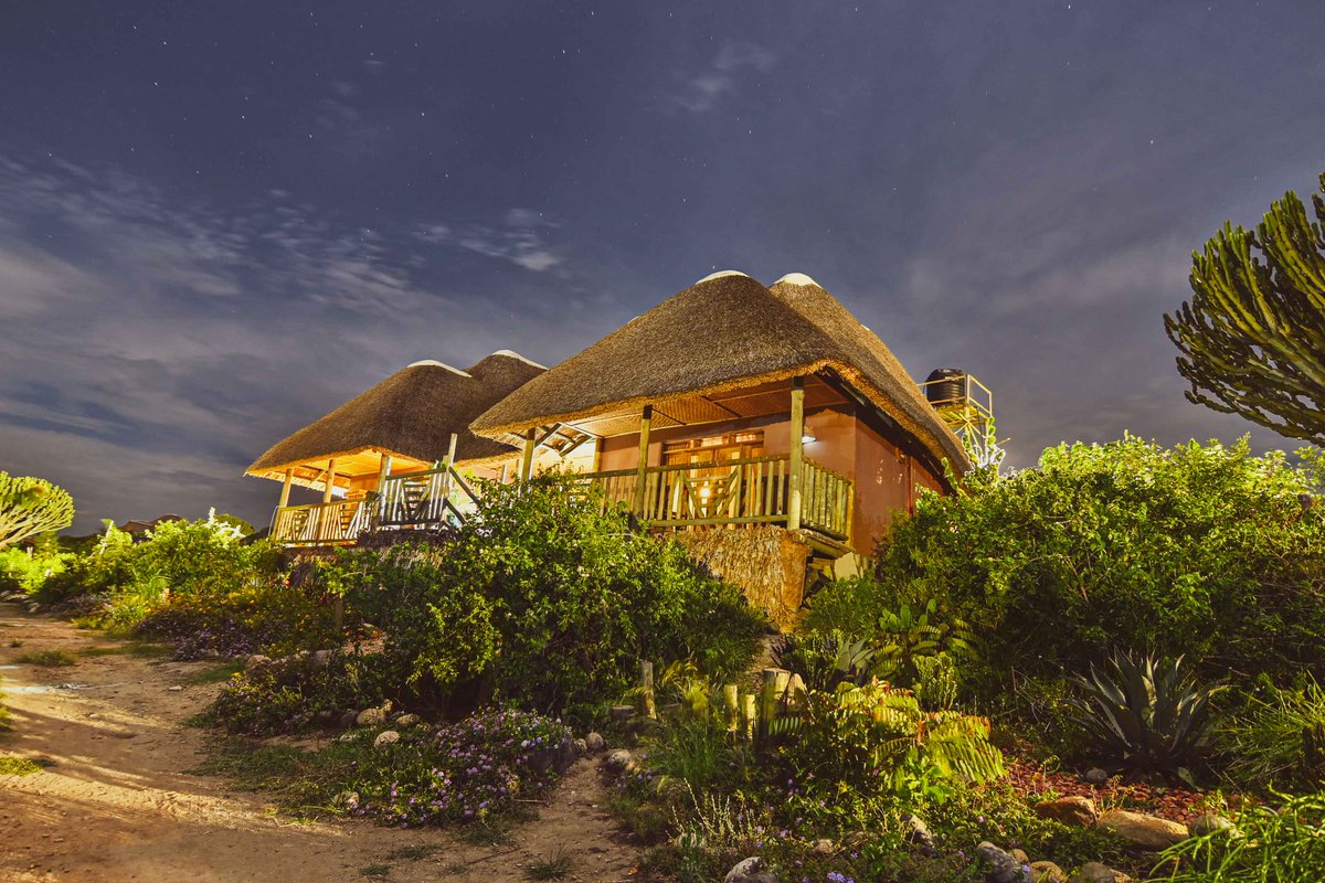 Ssenyonyiderick's tweet image. #HustleMonday

We agreed that mondays are Marketing our businesses and pushing our brands📈

Drop your hustle in the comment section, Open the comments if you need a plug of anything.

This is me, full-time travel content creator📸

Let's go win🌄

#TimeLessFrames