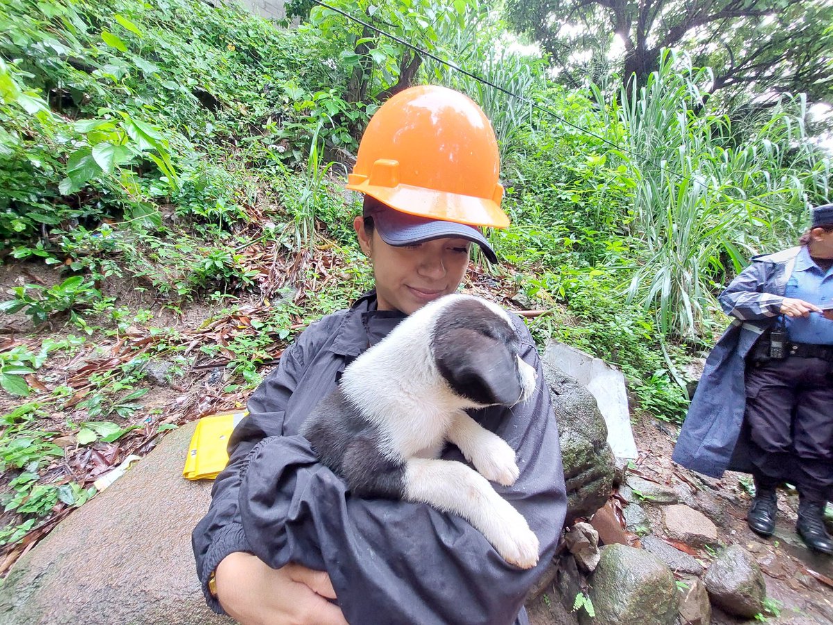 SVElClarin's tweet photo. #ClimaSV
#AlertaRoja

En las evacuaciones las mascotas no son olvidadas. Las familias llevan a sus peluditos a los albergues. 🐶🦜 https://t.co/gxOgfkKZ60