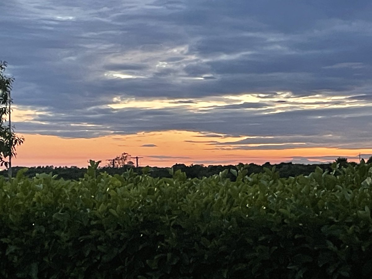 Limerick1973's tweet photo. June Sky 💚 https://t.co/GLSP3j2BNd