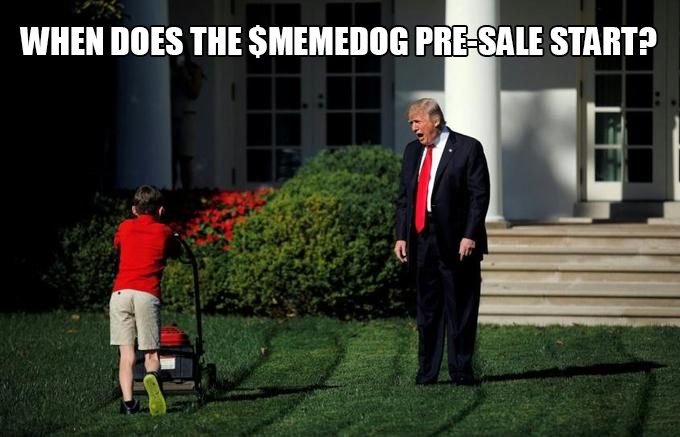 $memedog tweet media