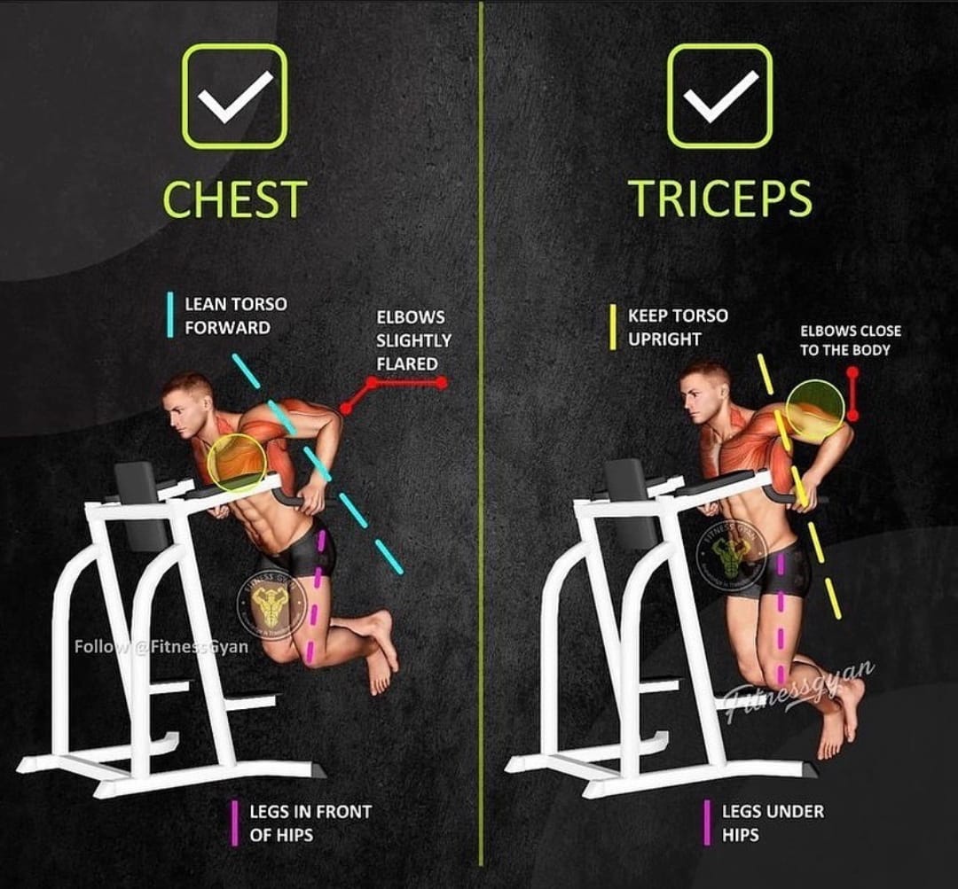 LannaEve2's tweet photo. Dips tips
#dips #dipsworkout #dipsworkouts #chestworkout #tricepsworkout https://t.co/R824SFPSrR