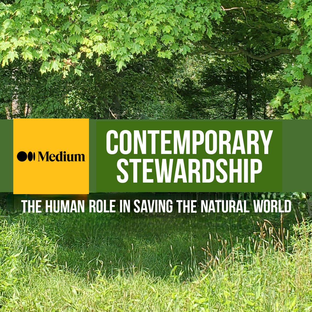 A discussion of the human role in saving the natural world. My latest article: “CONTEMPORARY STEWARDSHIP“ on Medium: medium.com/@robhensley/co…
