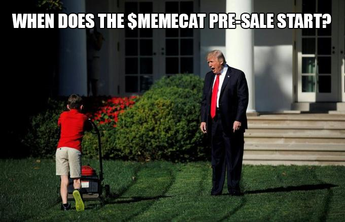 $memecat tweet media