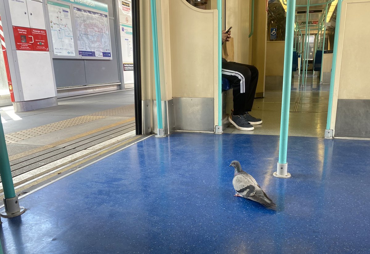 Delighted to announce that Marco is heading back to Woolwich after 5 years in Poplar.

Has had enough of the quiet life and wants to get back in amongst the action.