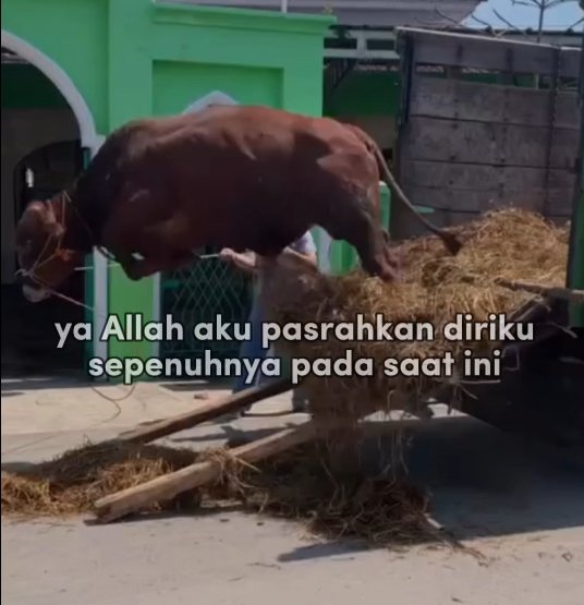 AREA NETIZEN tweet media