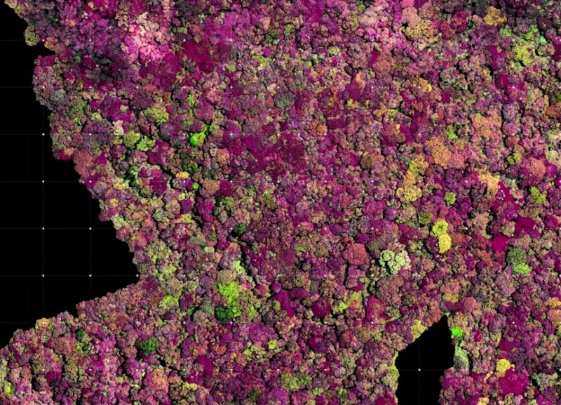 세계에서 가장 외로운 식물을 위해 암컷 파트너를 찾고 있음
arstechnica.com/science/2024/0…
- 남아프리카 식물 Encephalartos woodii (E. woodii)
- 보호하기위해 마지막 그루 채취, 야생에서 멸종
- 채취후 전세계에 보존했지만 전부 수컷임
- 드론이 찍은 사진으로 AI가 야생에서 암컷을 찾고있음
