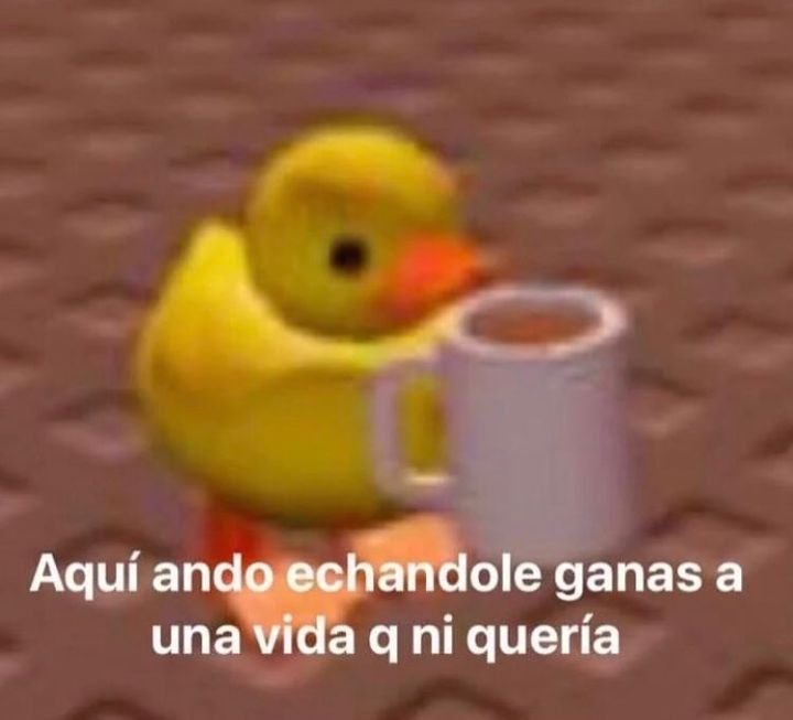 Now that I can't work for a while.. gimme your weirdest cursed ships or whatever.. I want to draw so I don't lose it :)