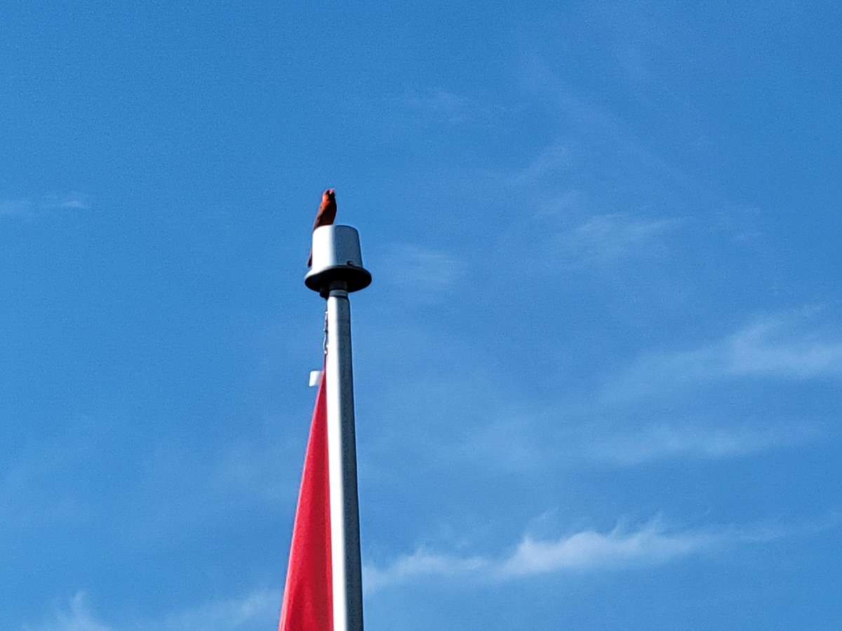 Ryan Sanders tweet media