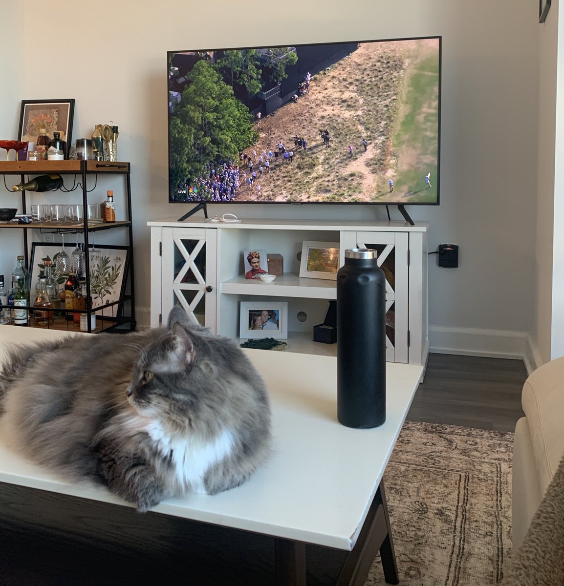 Pete Hailey tweet media