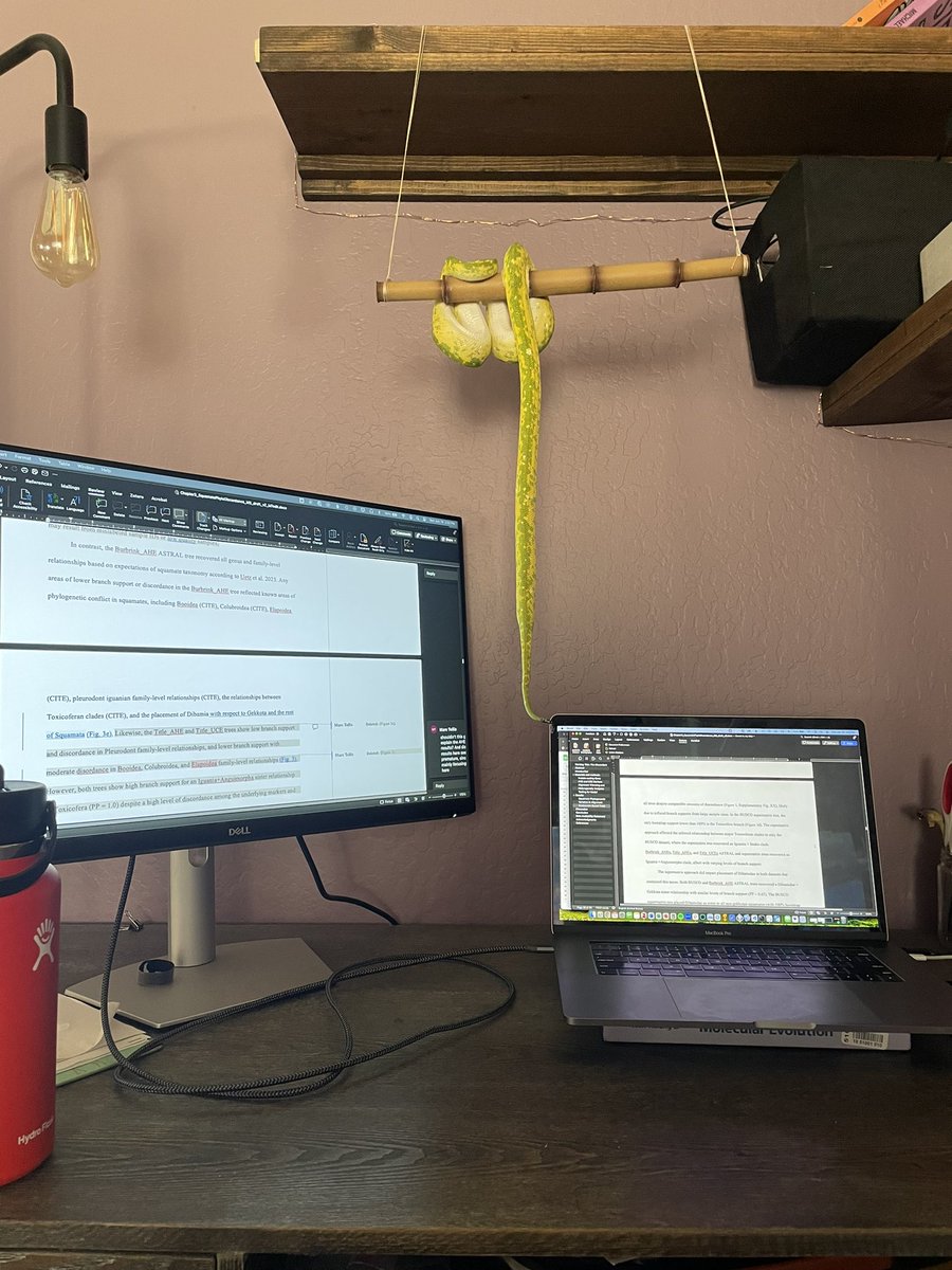 Dr. Simone Gable tweet media