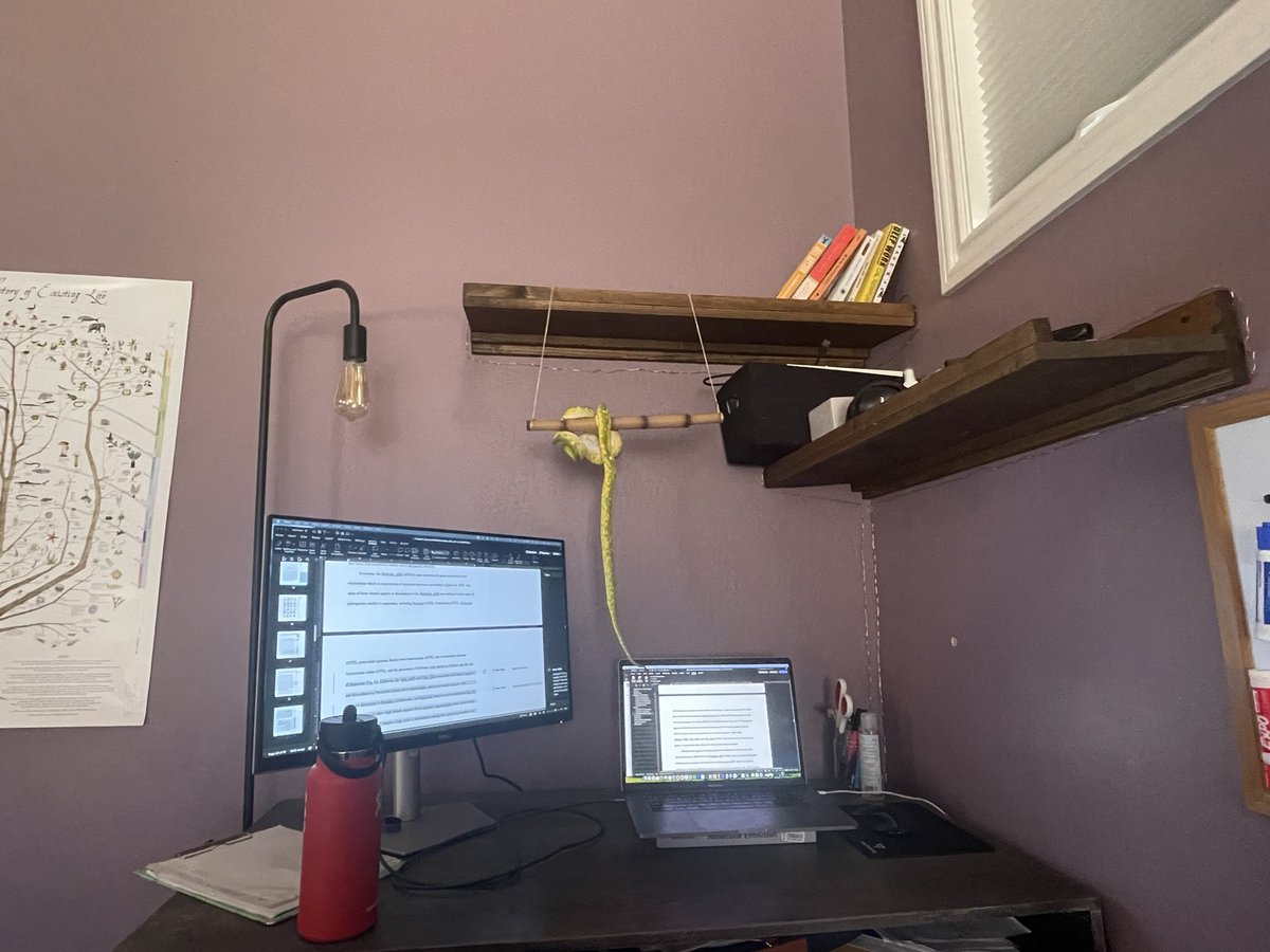 Dr. Simone Gable tweet media