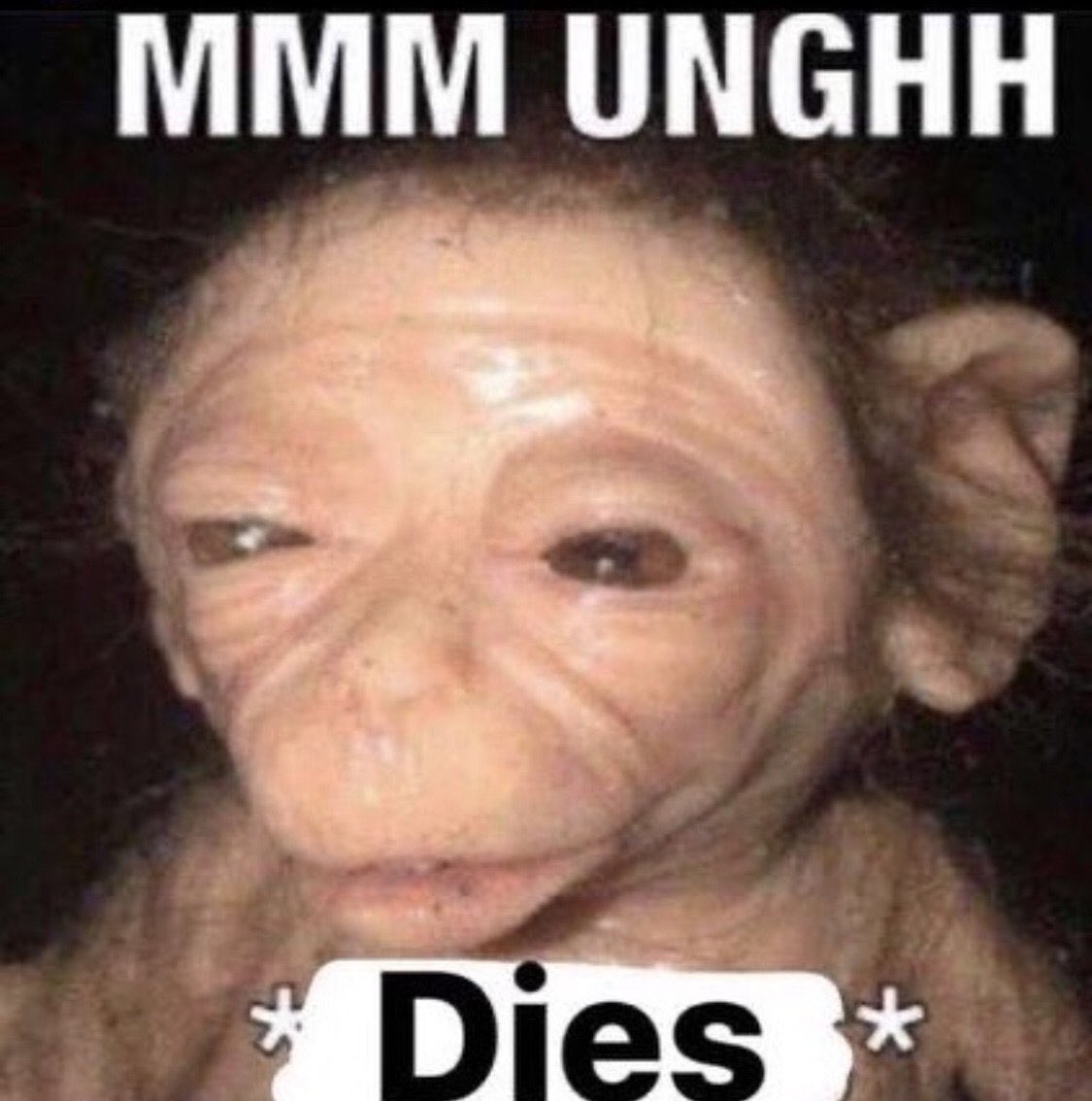 Tay7X's tweet image. They did alpoh and fiction