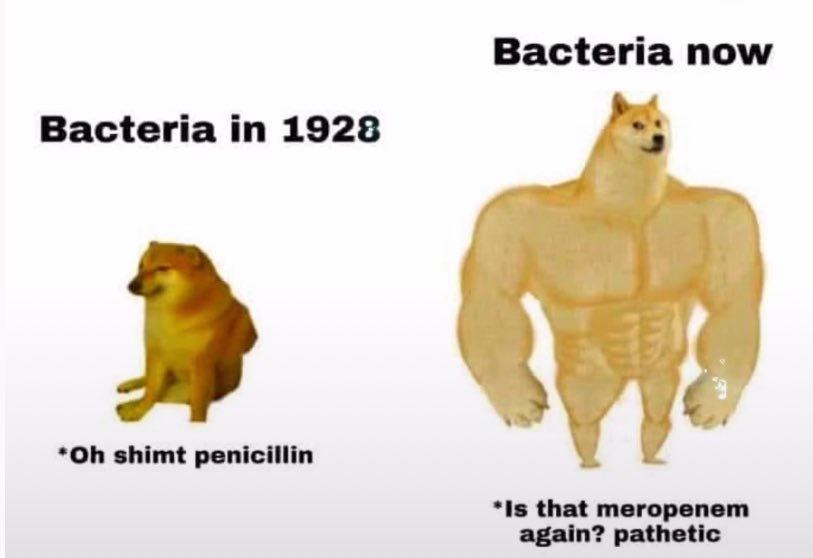 When the memes are funny and true at the same time haha