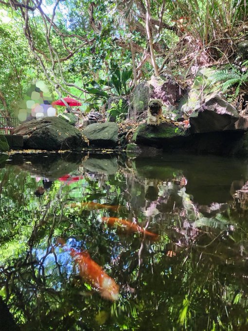 昨日のお休みは突然緑を感じたくなって 珍しくおでかけ(基本引きこもり) サンドイッチはどっかで買ったなんか有名なやつ🙄？ https://t.co/CBkH8kmMgM