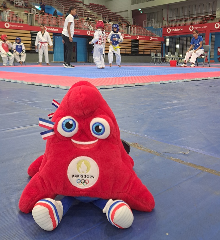 Team Fiji tweet media