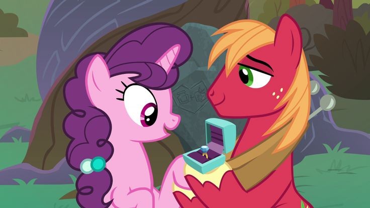 daily appledash 🍉 FREE PALESTINE tweet media