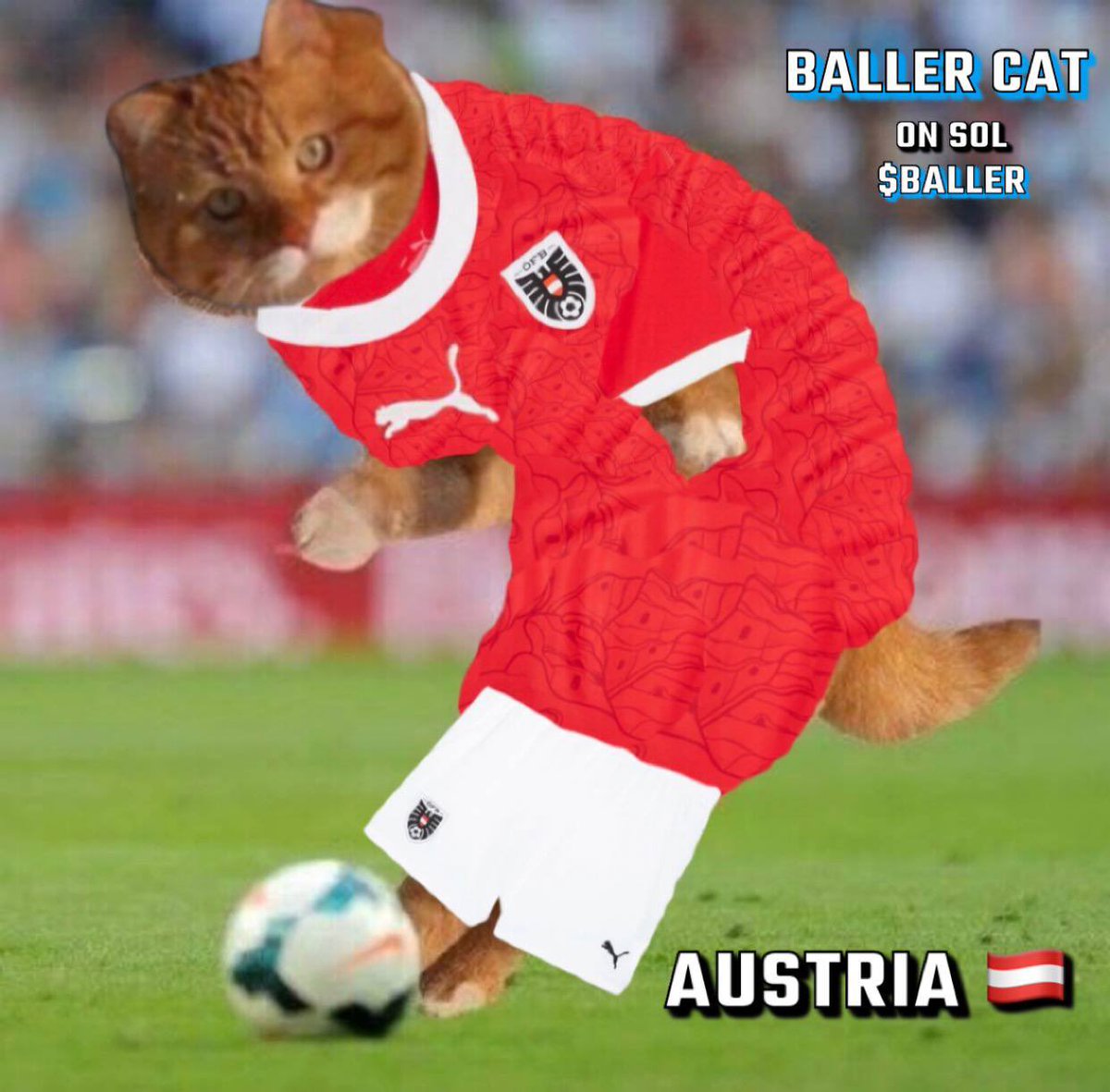 Baller Cat tweet media
