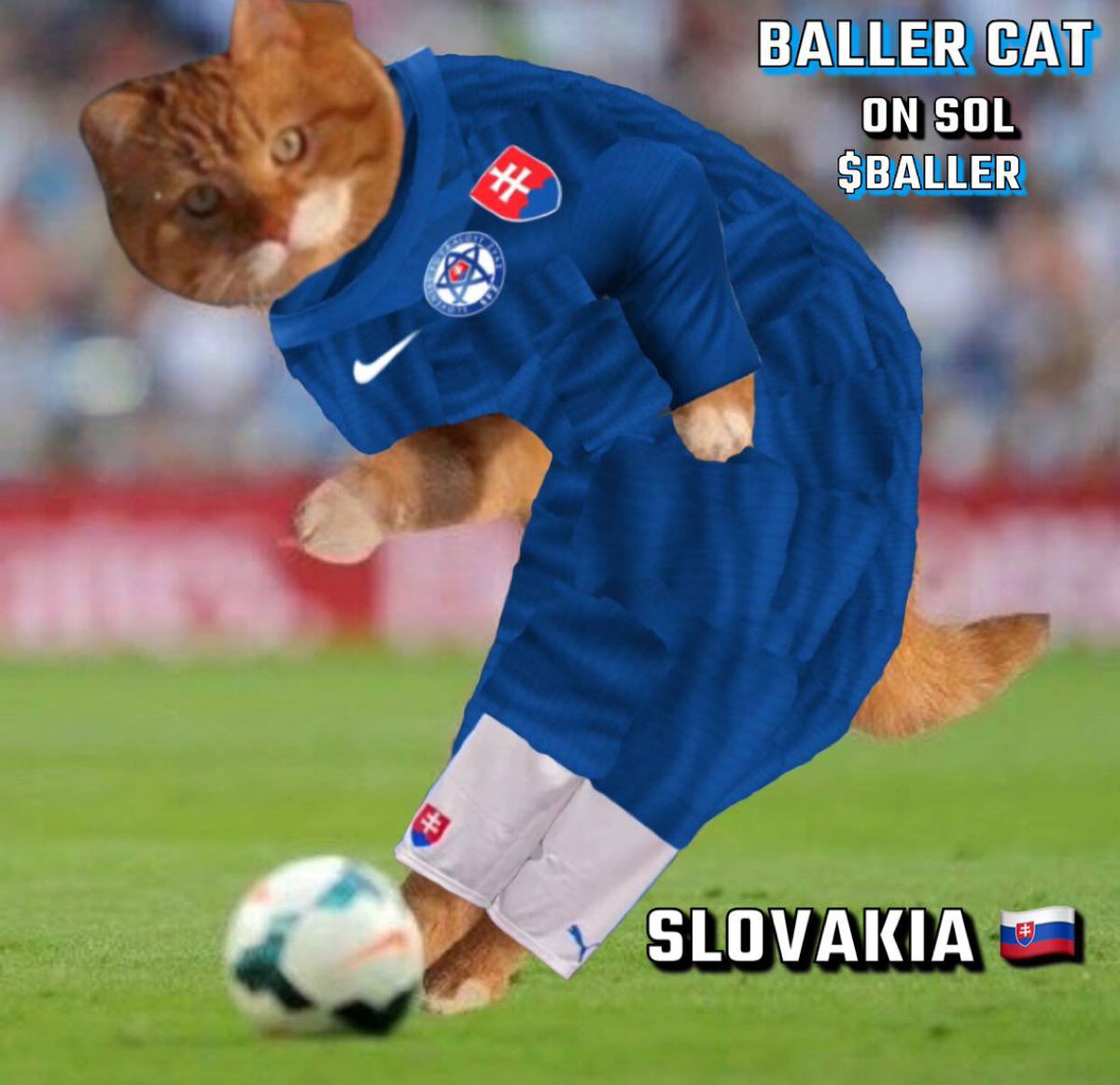 Baller Cat tweet media
