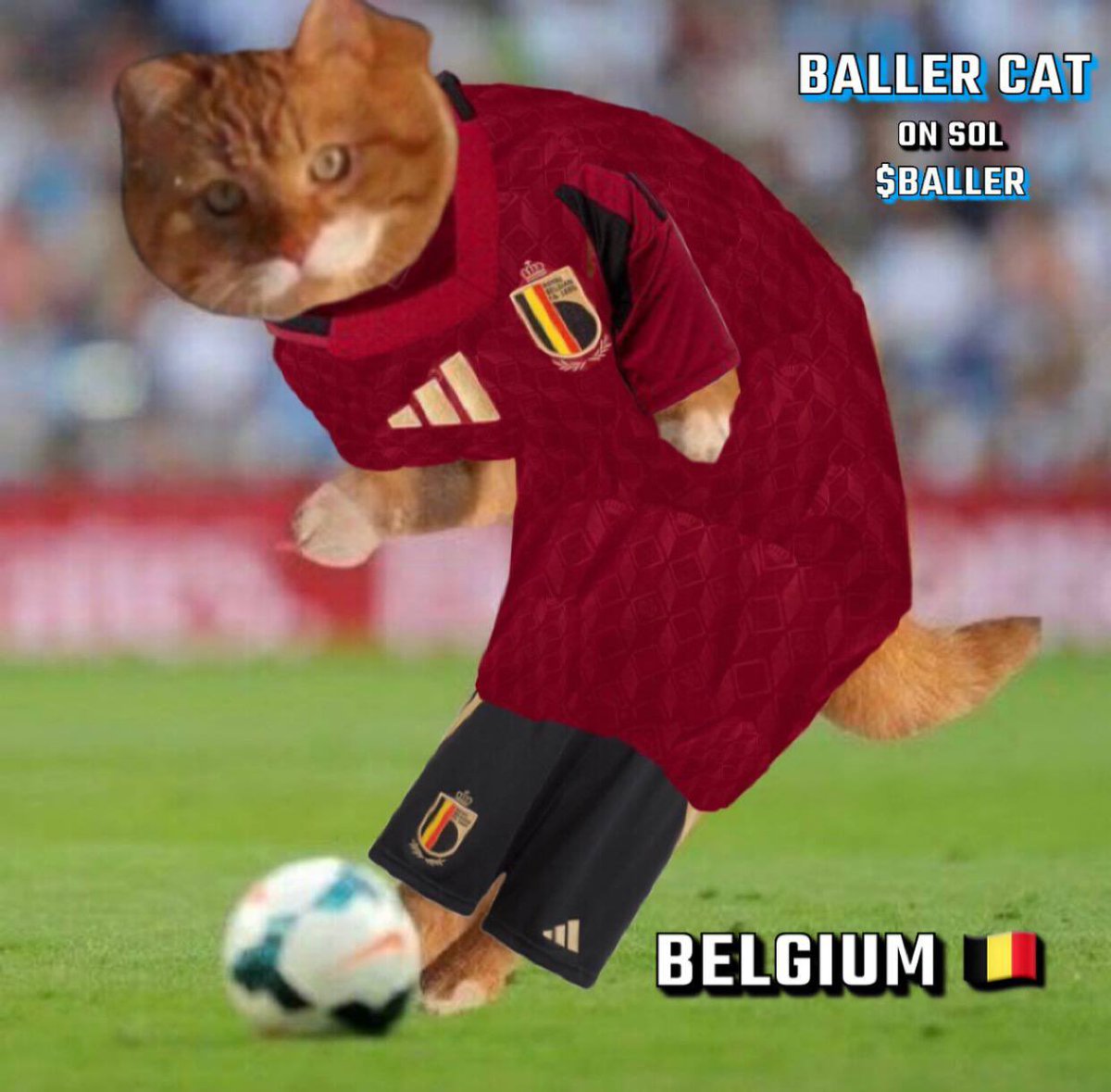 Baller Cat tweet media