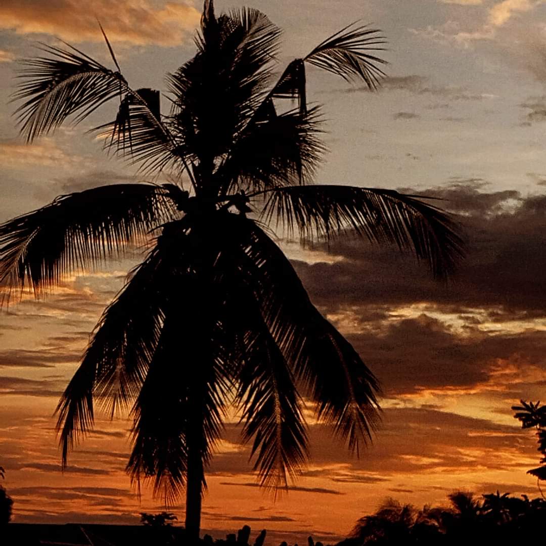 TOURFESS's tweet image. Sunset dolik halmahera 
Iso 600