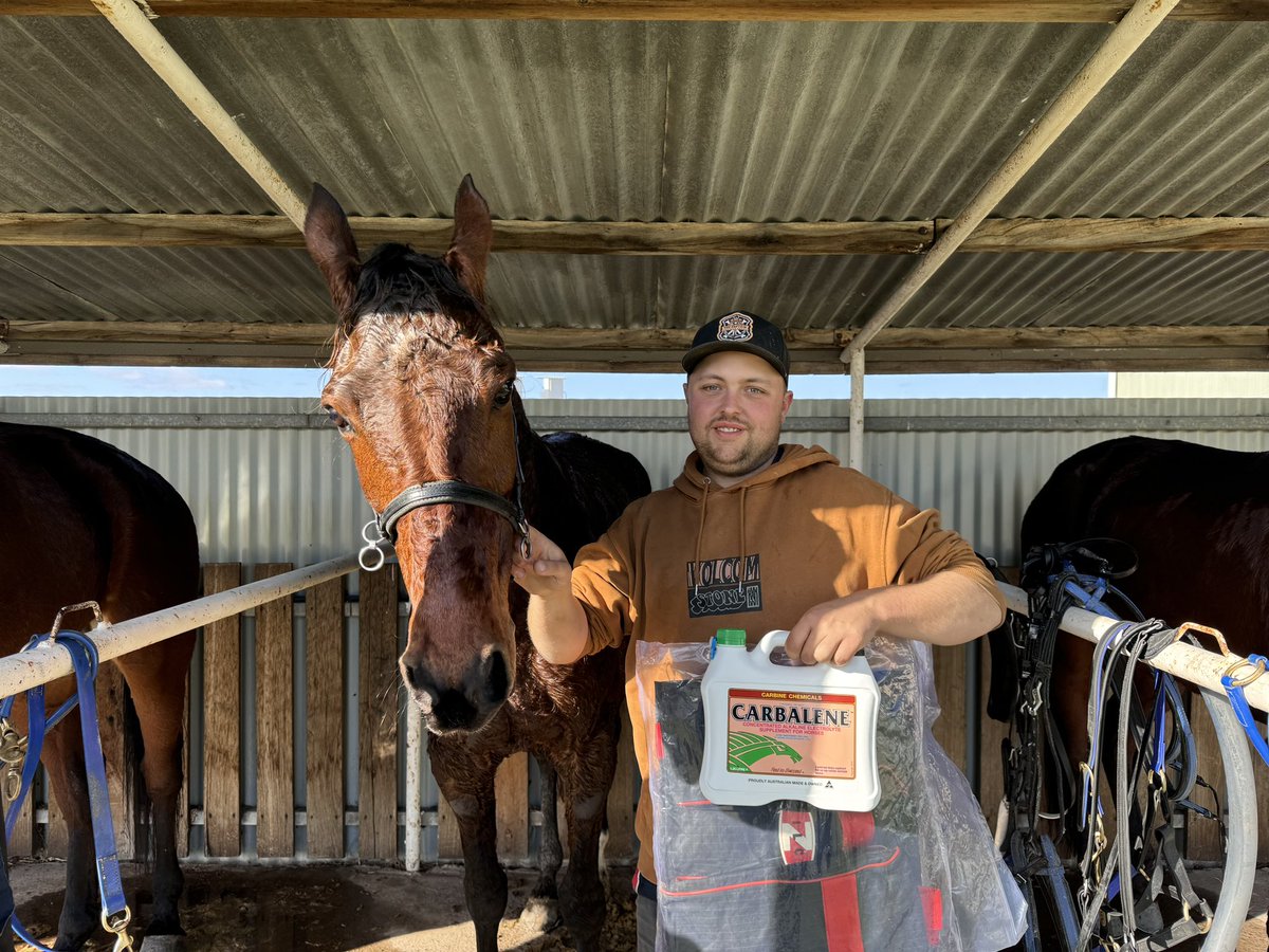 Reigning titleholder ELLEN TORMEY puts herself in contention again by leading all the way on OUR ULTIMATE BONNY (trained by Zac Steenhuis) in DECRON HORSE CARE INVITATION DRIVERS CHAMPIONSHIP third heat. It’s tight at the top the points table.