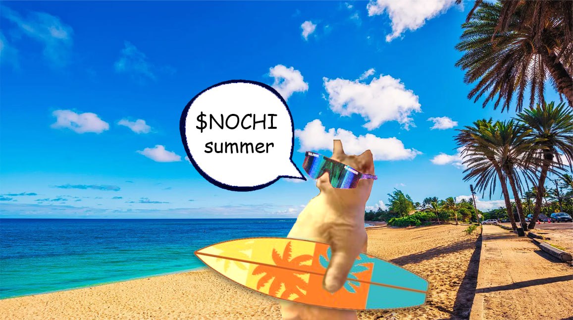 NochiCatSol's tweet photo. @SharksCoins Nochi raid coming. We're here and not stopping. https://t.co/dG3nMgDzK5