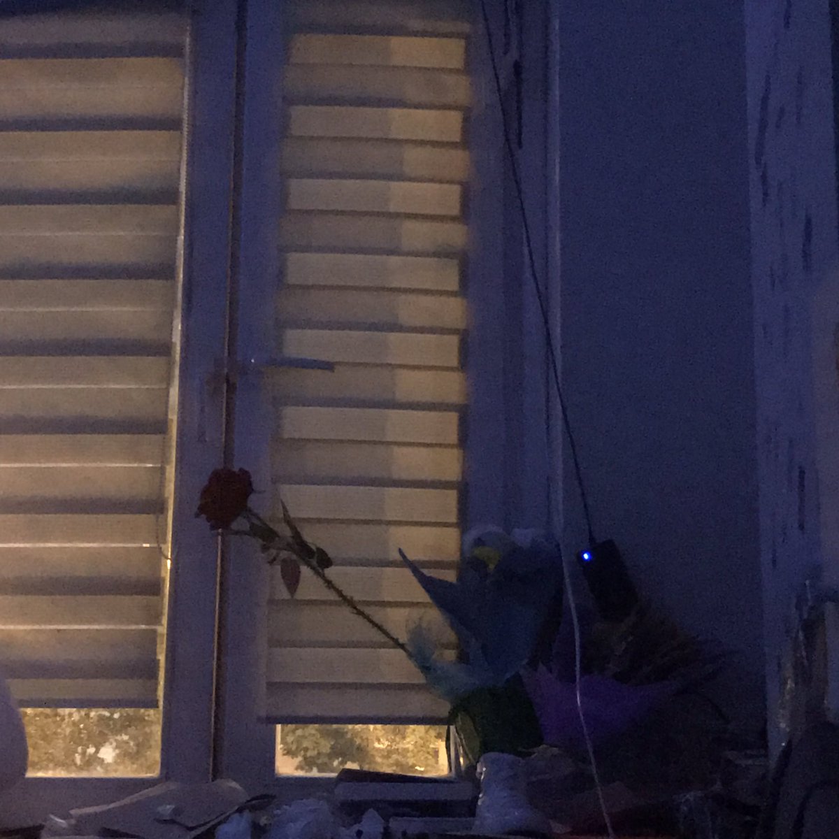 Меня не было тут давно, Твиттер отказывается публиковать мои посты :(
—
I haven't been here for a long time, Twitter refuses to publish my posts :(