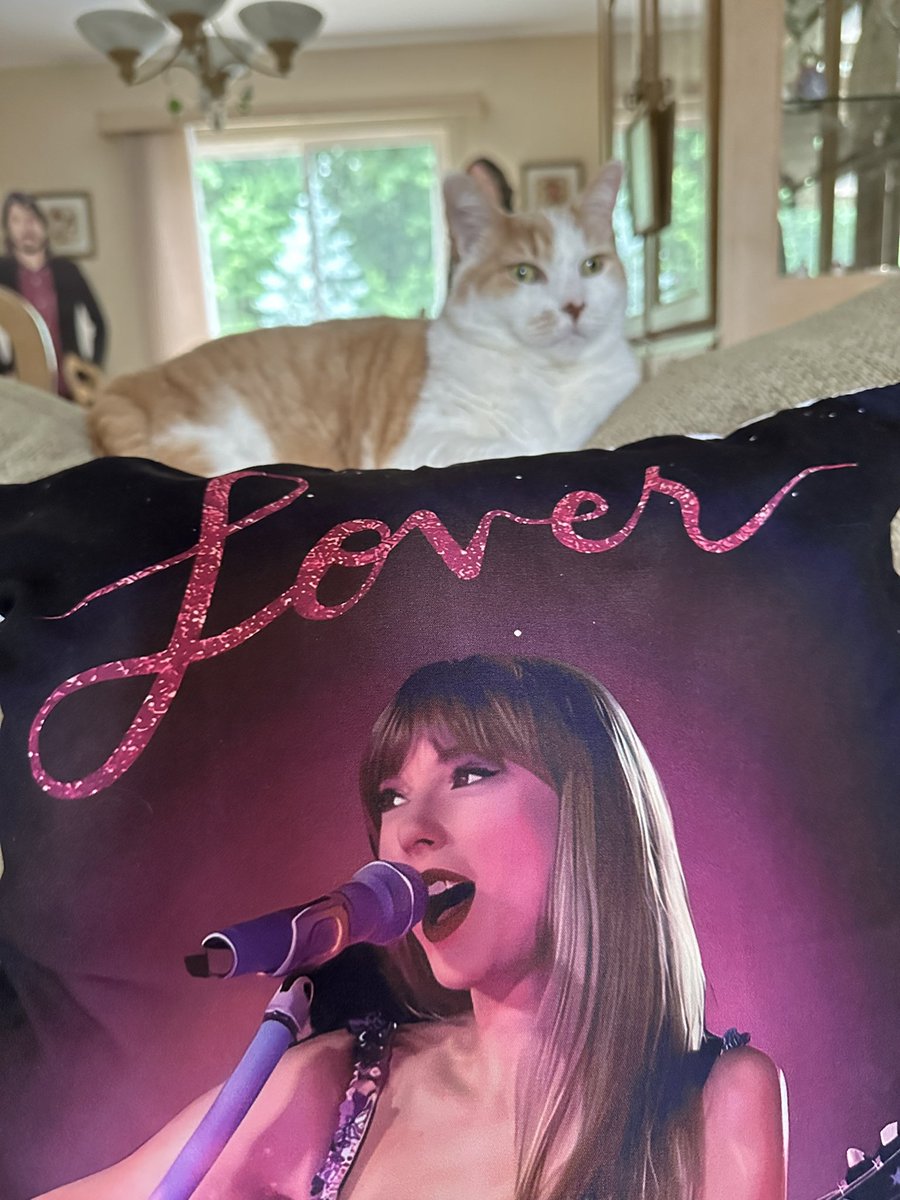 DebbieMaz's tweet photo. Weekend snaps include cleaning and staining the backyard deck, a wicked rain storm on Friday, seeing the Stones, and a belated bday prezzie of a Taylor Swift pillow!   #weekendvibes #weekendsnaps https://t.co/Ik4X2rAqzU