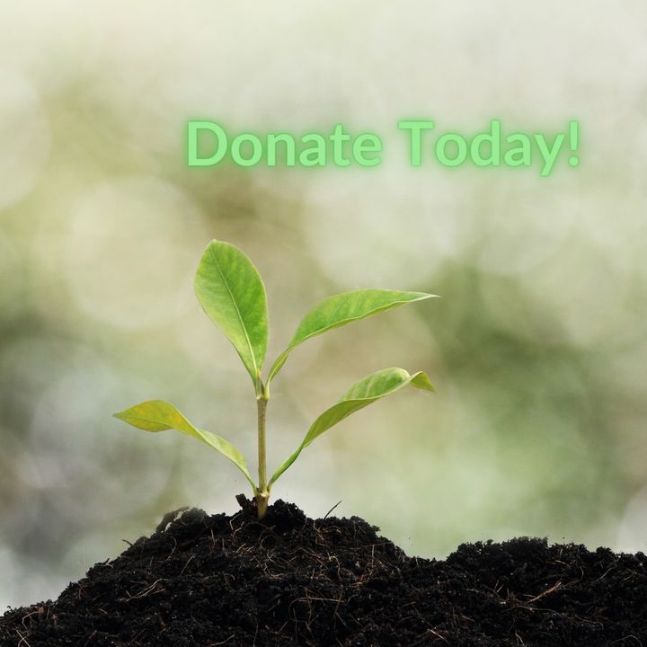 IDEAS For Us tweet media