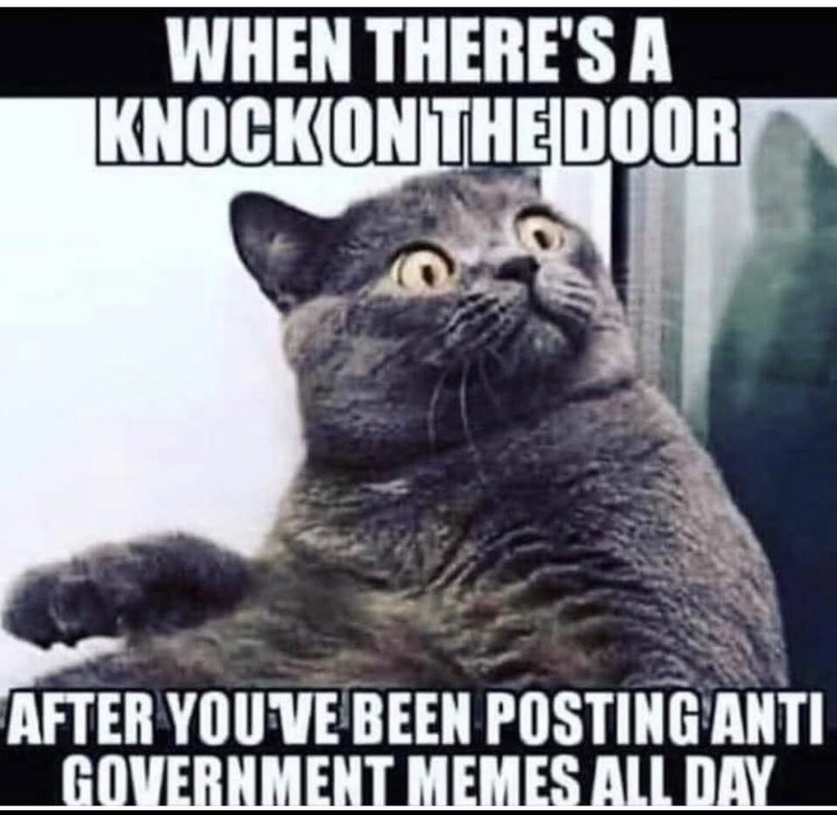 Political Possum tweet media