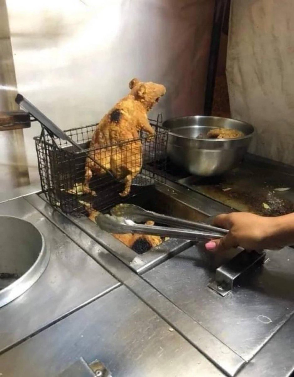 NÃÃÃÃÃÃÃÃO o ratatouille escorregou