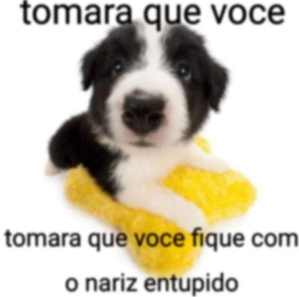 shitpostverdade's tweet photo. https://t.co/yRfss2ZR50