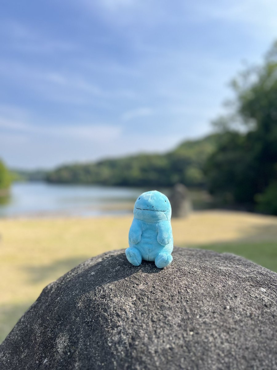 紫陽花とぬぉ𖤣𖥧𖥣｡𖤣𖥧𖥣｡

紫陽花ピークで綺麗だったね！
自然を感じた1日だったよ🌳