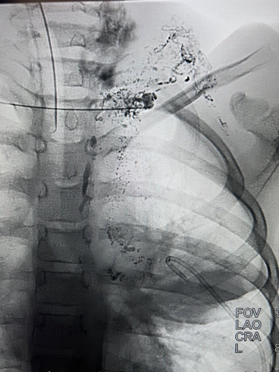 Dr. Dario Teplisky tweet media