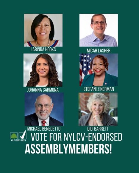 Thank you ⁦<a href="/nylcv/">NYLCV</a>⁩ #VOTE now!