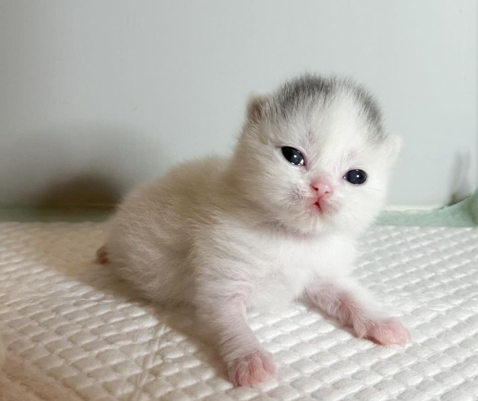 I love to play and draw.