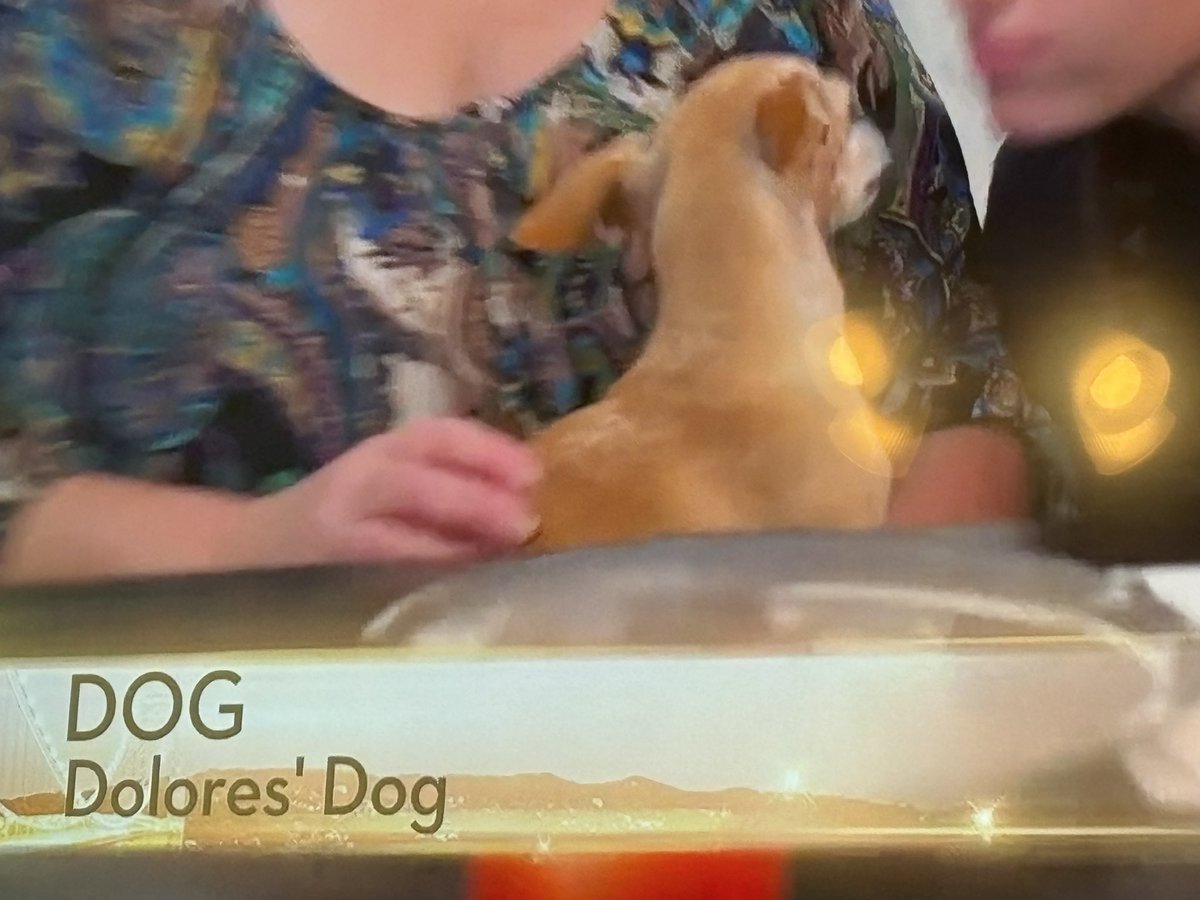 butimjohnweiss's tweet photo. the true star of #rhonj @DoloresCatania https://t.co/XZa4AexwR2