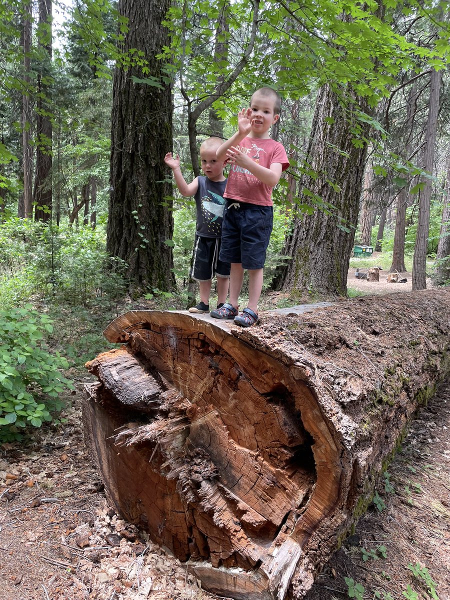 collindyer.eth tweet media