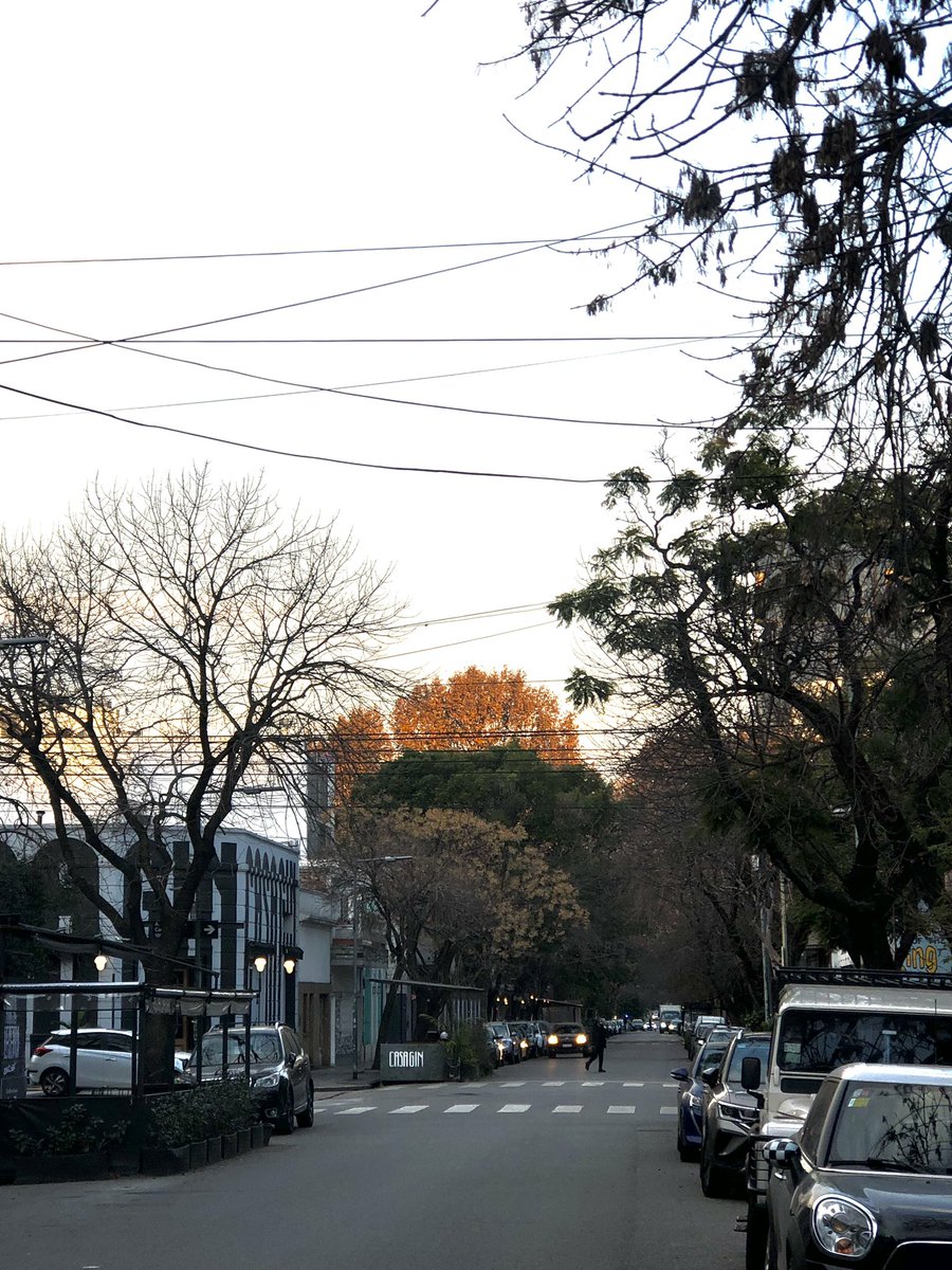 También me gusta el color domingo 💕