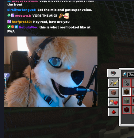 ReefRuff tweet picture