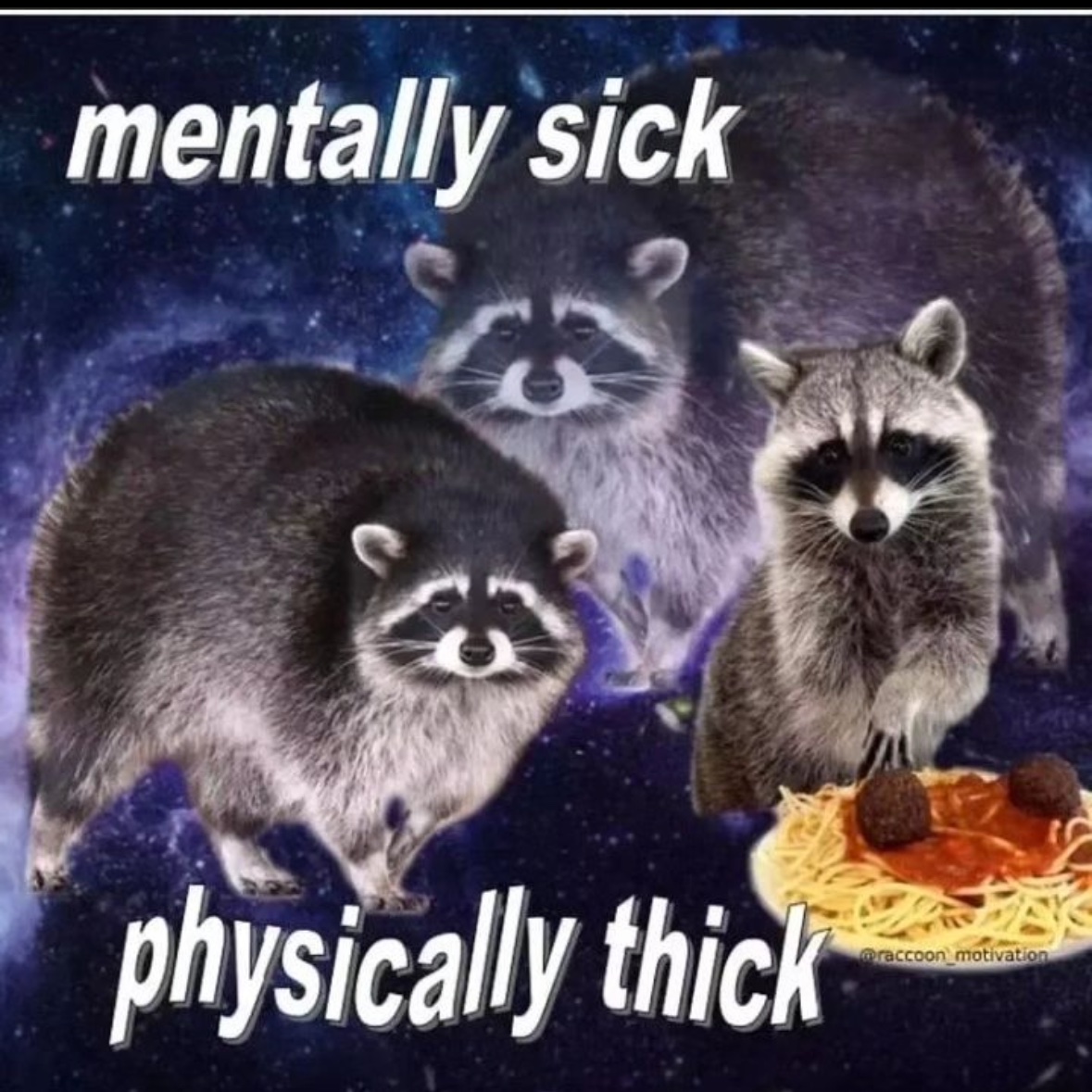 raccoon aesthetic. (@raccoonesthetic) on Twitter photo 