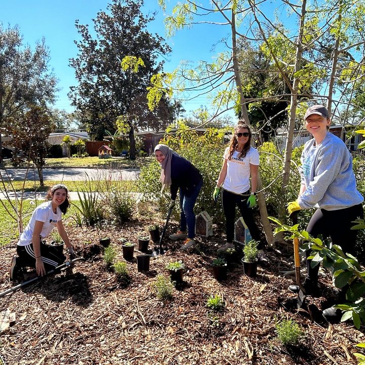 IDEAS For Us tweet media