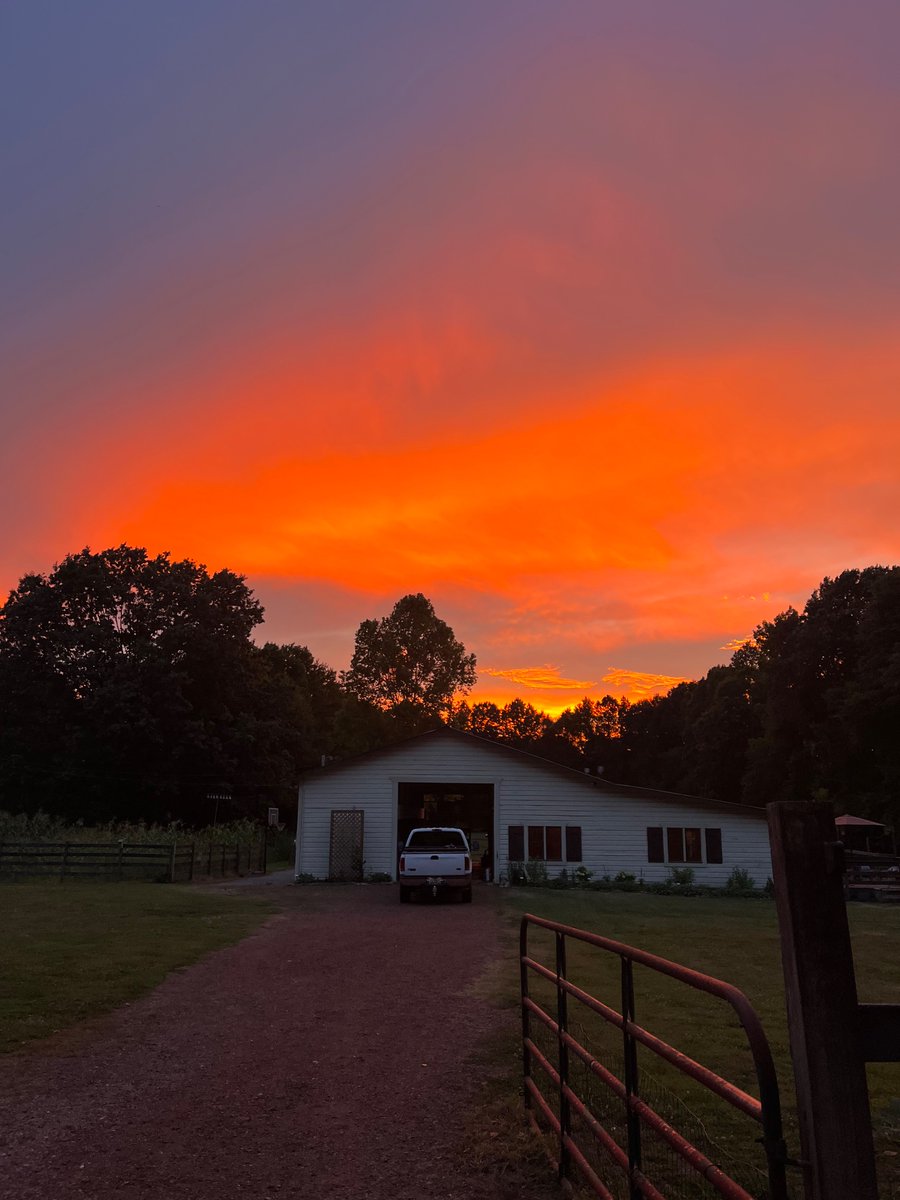 JMFrankln's tweet photo. Father’s Day Sunset at the Farmette. Greenwood/Bessemer, Alabama @spann https://t.co/AGJAiyQcbV
