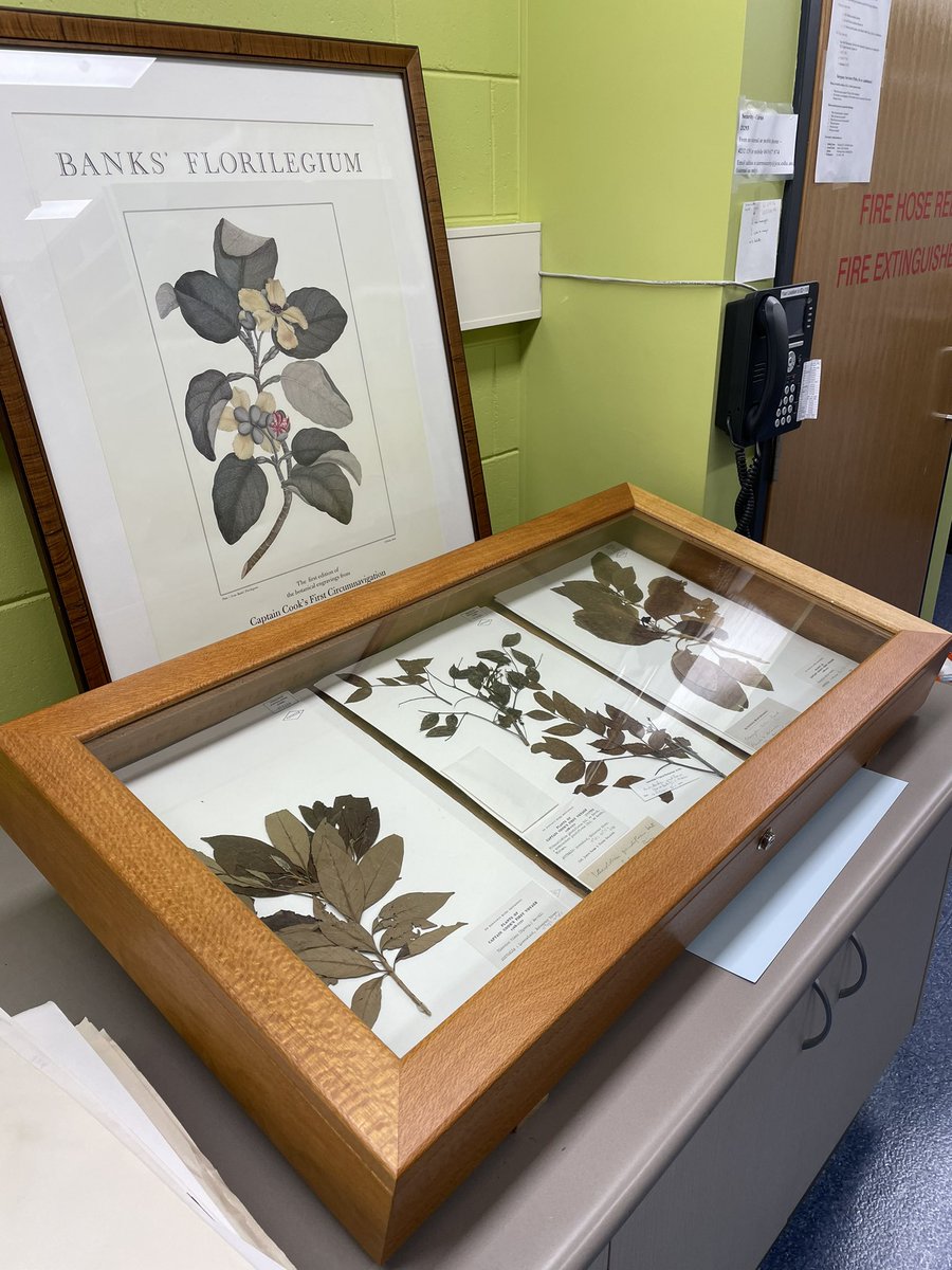 Simon Biggs tweet media