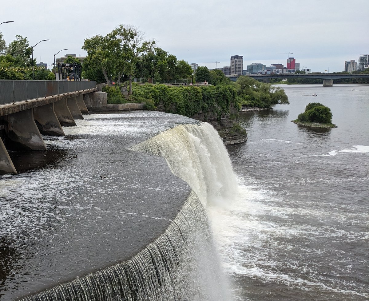 Lamespotting's tweet photo. I'm amazed at how chill the ducks are right at the edge of Rideau Falls https://t.co/2L1bSC9M4w