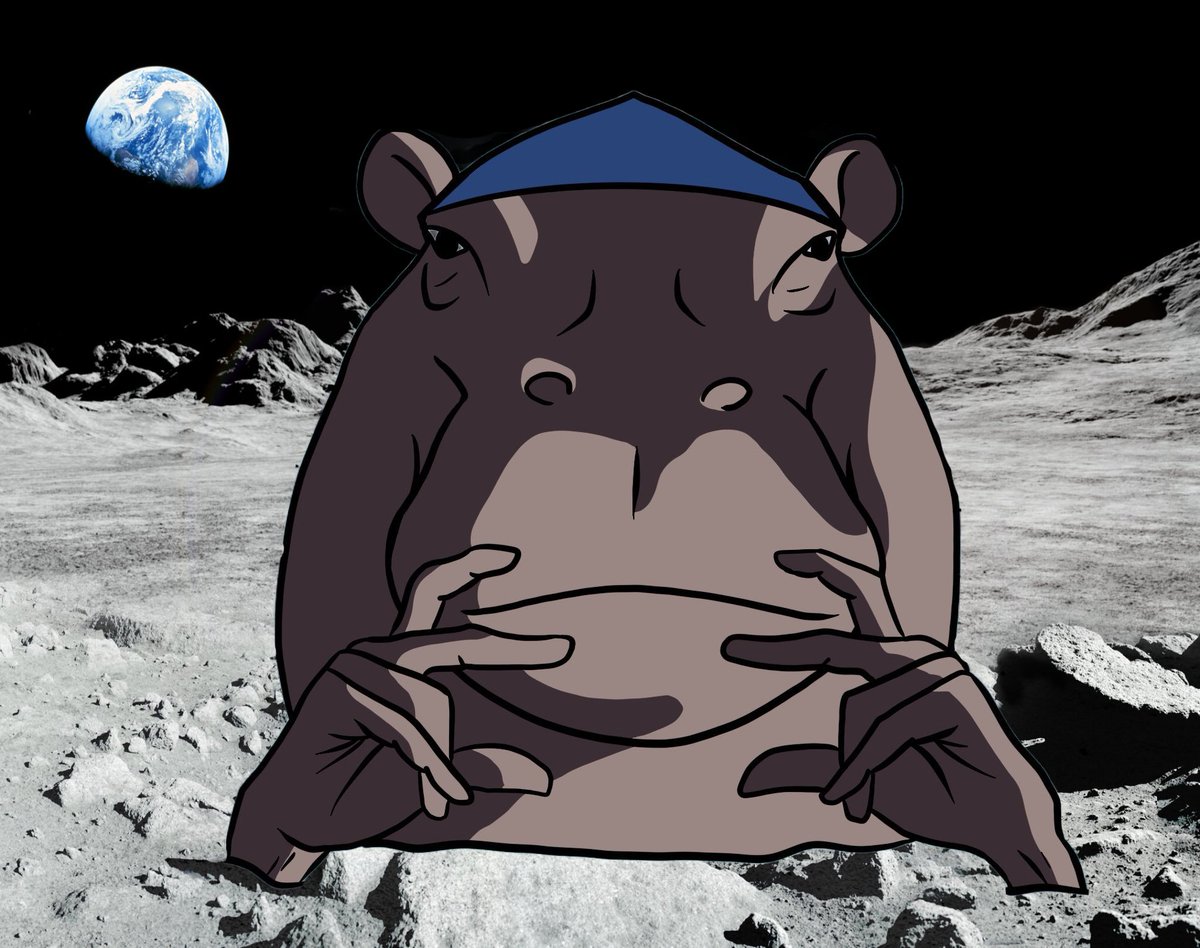 Hippocrip_SOL's tweet image. HIPPOCRIP IS ALREADY MAKING WAVES ON PUMPFUN RAYDIUM SOON LETS GO $CRIPPO